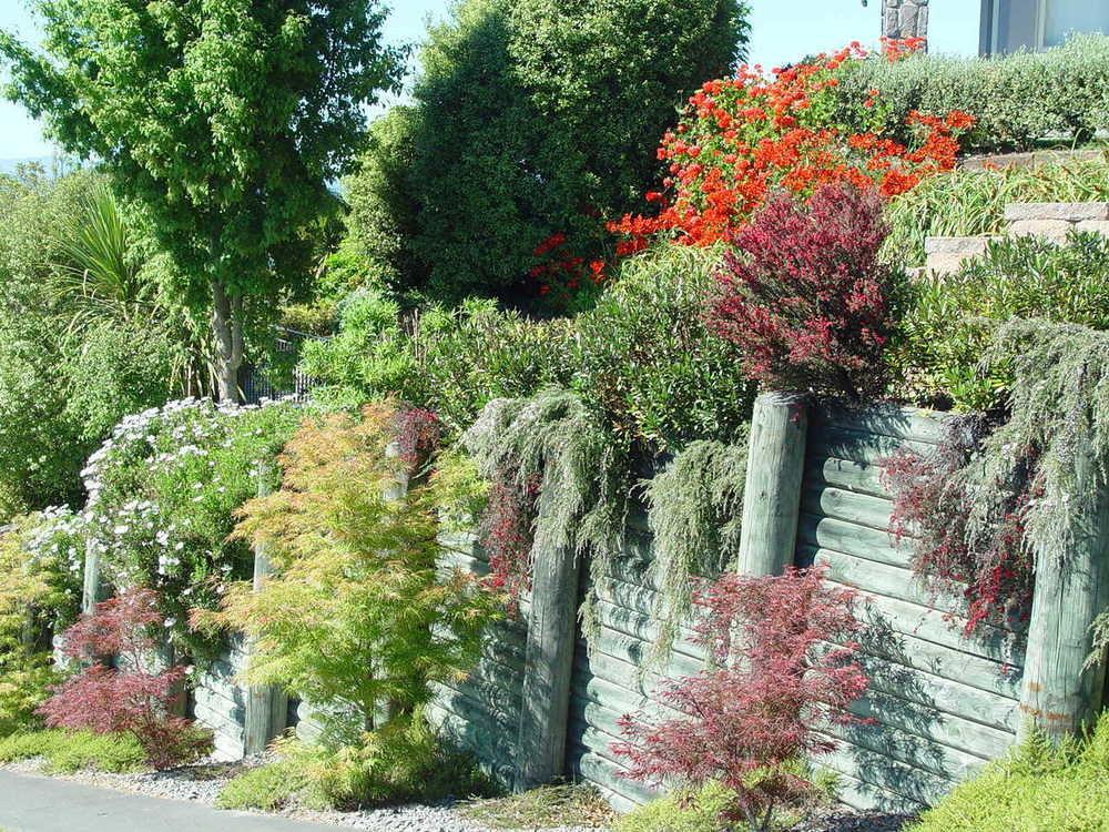 Tauhara Sunrise Lodge Taupo Dış mekan fotoğraf